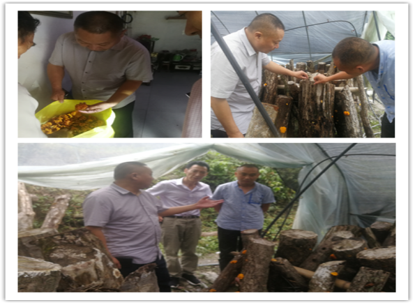 1567061566978230.png 88.png