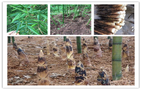 1567061597103135.png 89.png