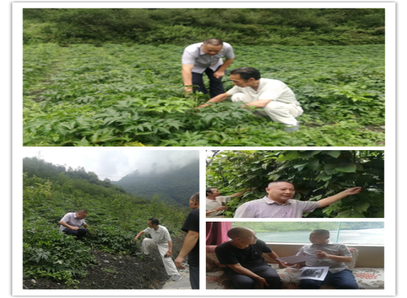 1567061626592992.png 90.png