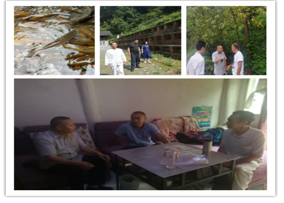 1567061674648606.png 92.png