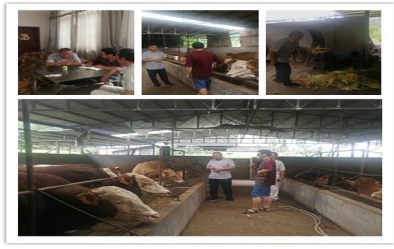 1567061705272239.png 93.png