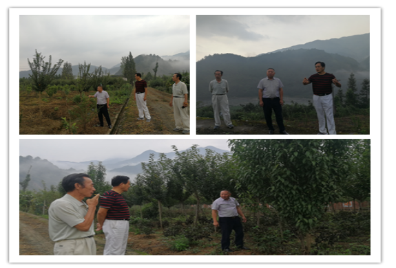 1567062123327347.png 94.png