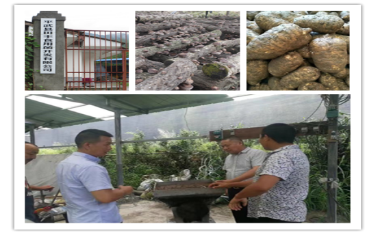 1567062157477635.png 95.png