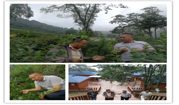 1567062209294335.png 97.png