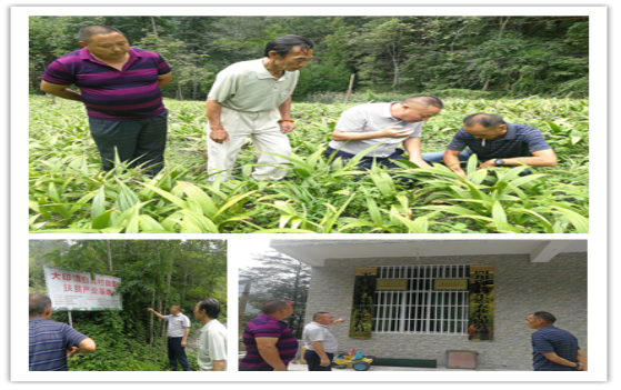 1567062262386121.png 99.png