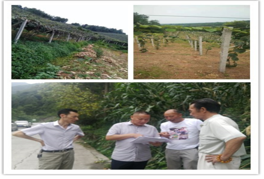 1568097144710582.png 101.png