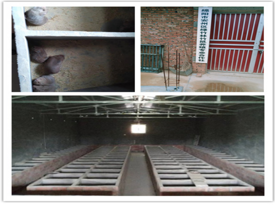 1568097180541921.png 102.png