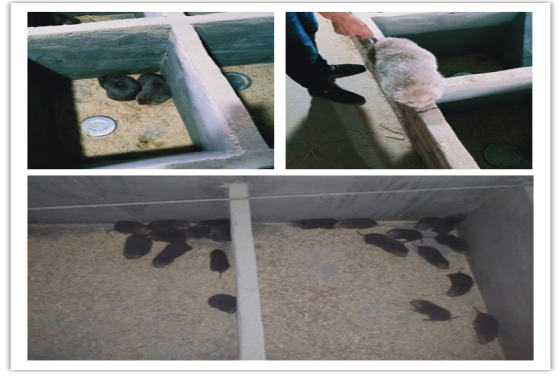 1568097210171595.png 103.png