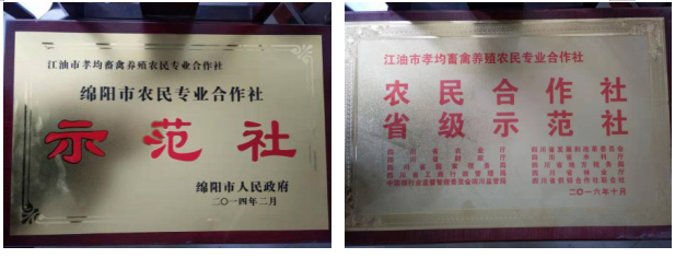 1568097900908844.png 107.png