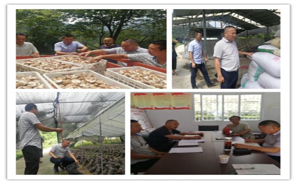 不忘初心 牢记使命 致力脱贫攻坚 助力乡村振兴 -----平武县扶贫调研（二）